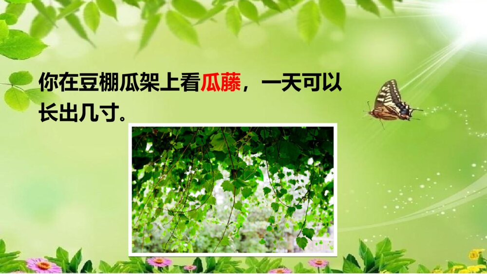 小学语文六年级上册《夏天里的成长》PPT课件8
