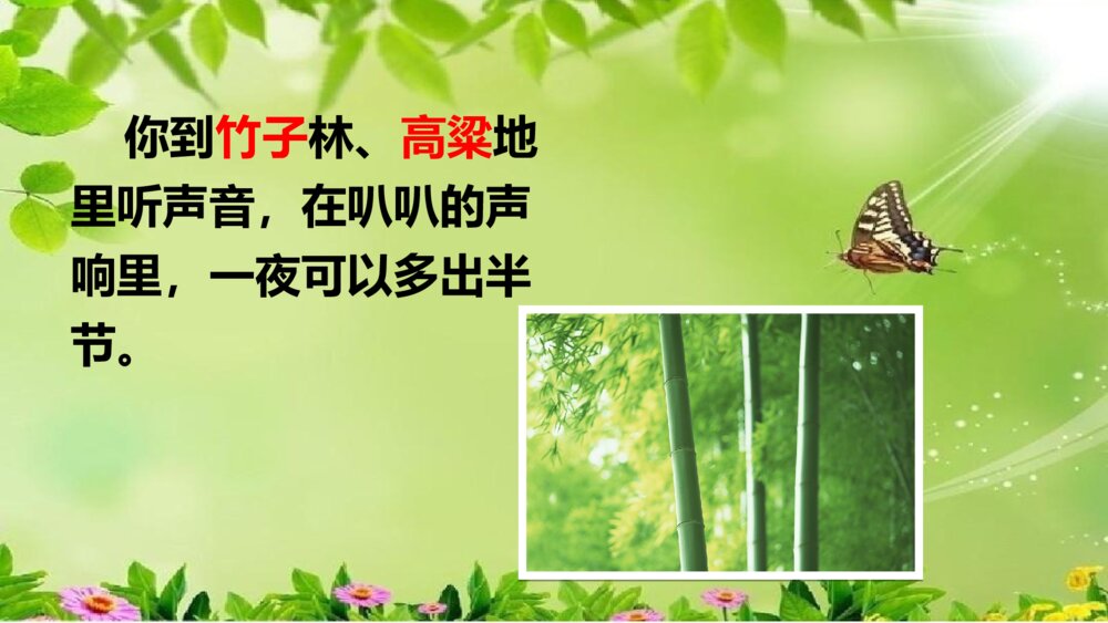 小学语文六年级上册《夏天里的成长》PPT课件9