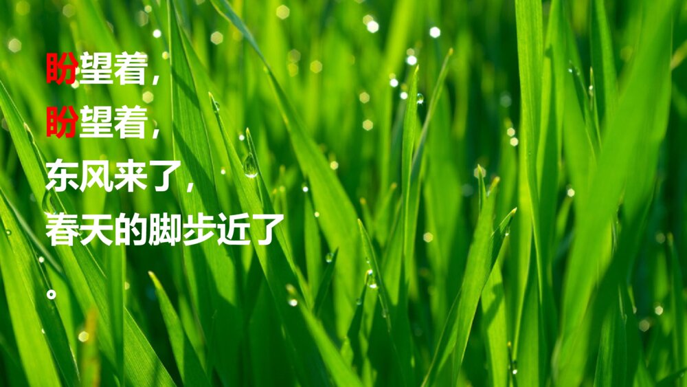 六年级语文上册 第五单元 盼 PPT课件2