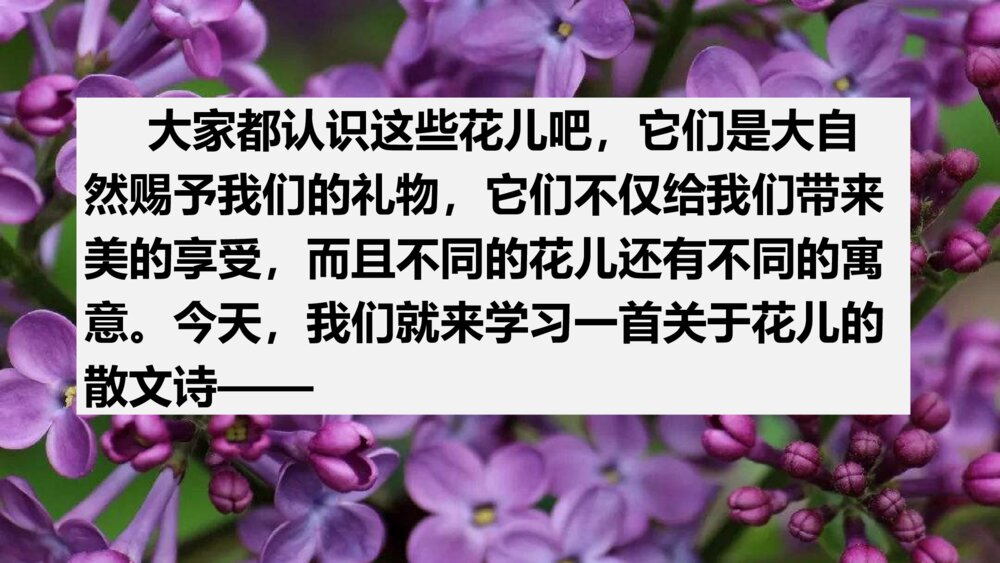 语文六年级上册 第一单元 花之歌 PPT课件2