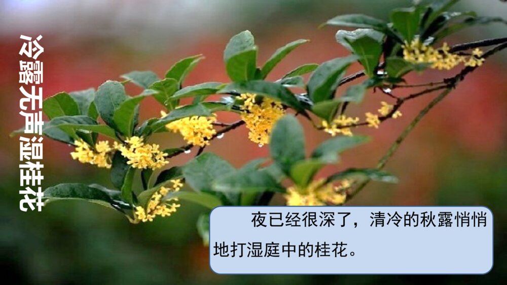 部编版语文下册 古诗三首 十五夜望月 PPT课件8